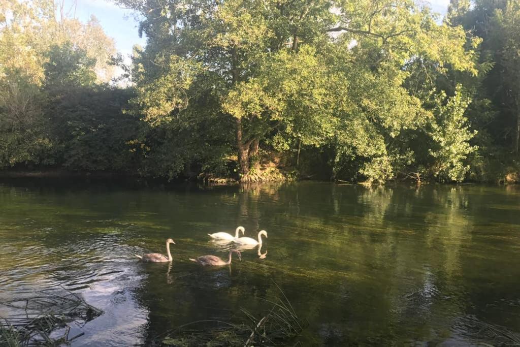 La Pierre Levee Leilighet Montigny-sur-Loing Eksteriør bilde