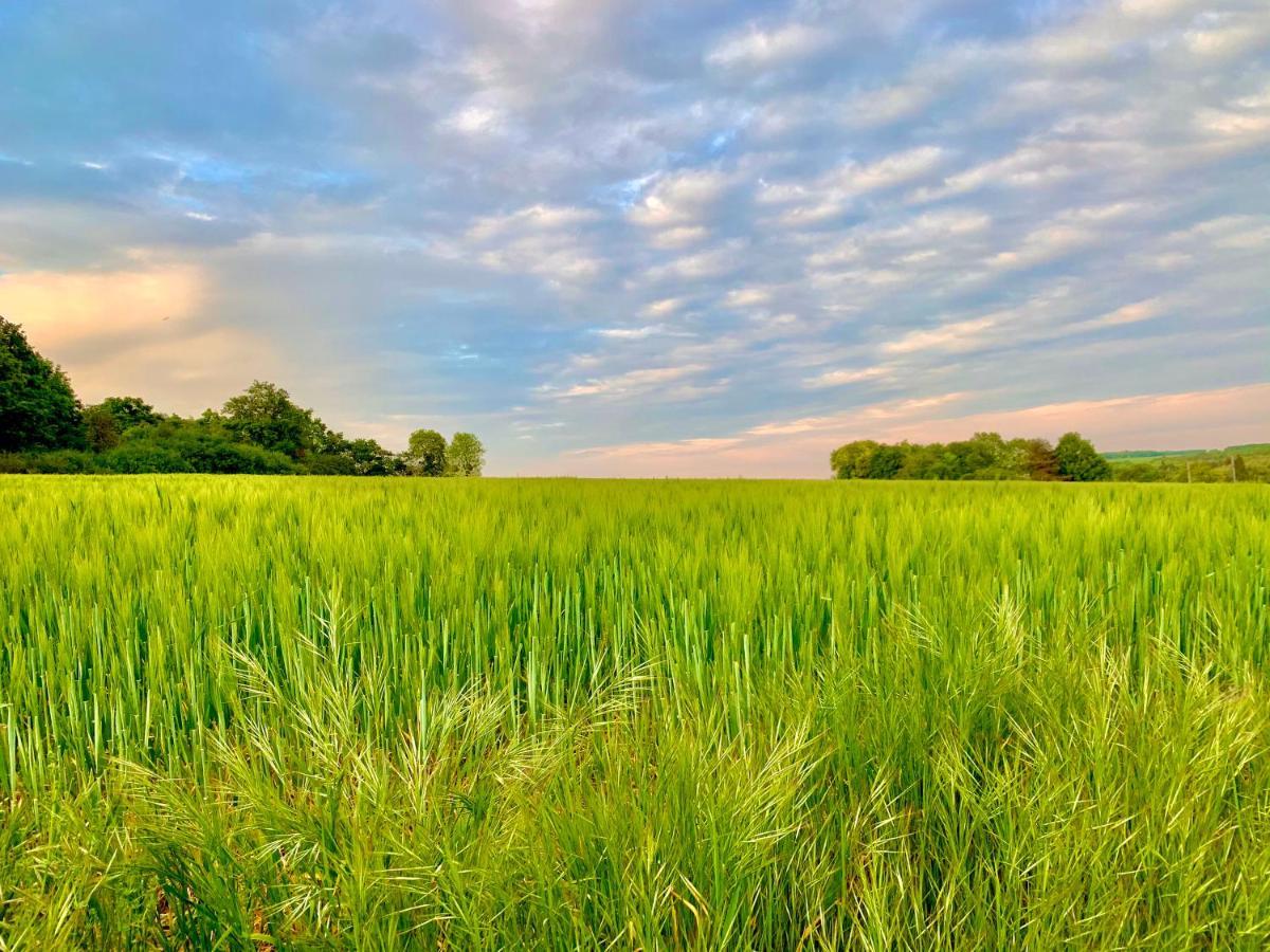 La Pierre Levee Leilighet Montigny-sur-Loing Eksteriør bilde